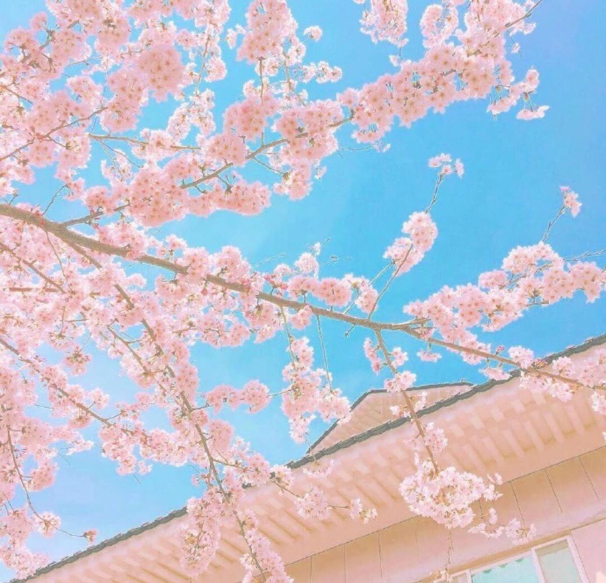 2019年10月.后場(chǎng)商業(yè)EDM中英彈跳歌路 - 02