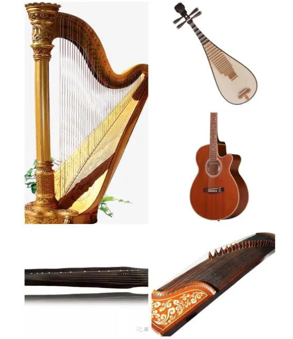 擊弦樂器包括哪些樂器?