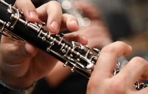 管樂器的特點有哪些？